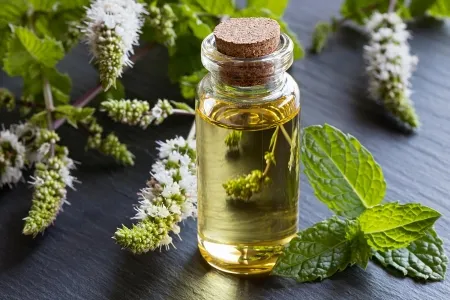 Find the right fragrance for your scent marketing and scent machines
